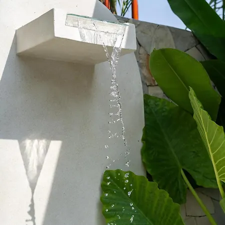 Casa Dala Canggu Exterior photo